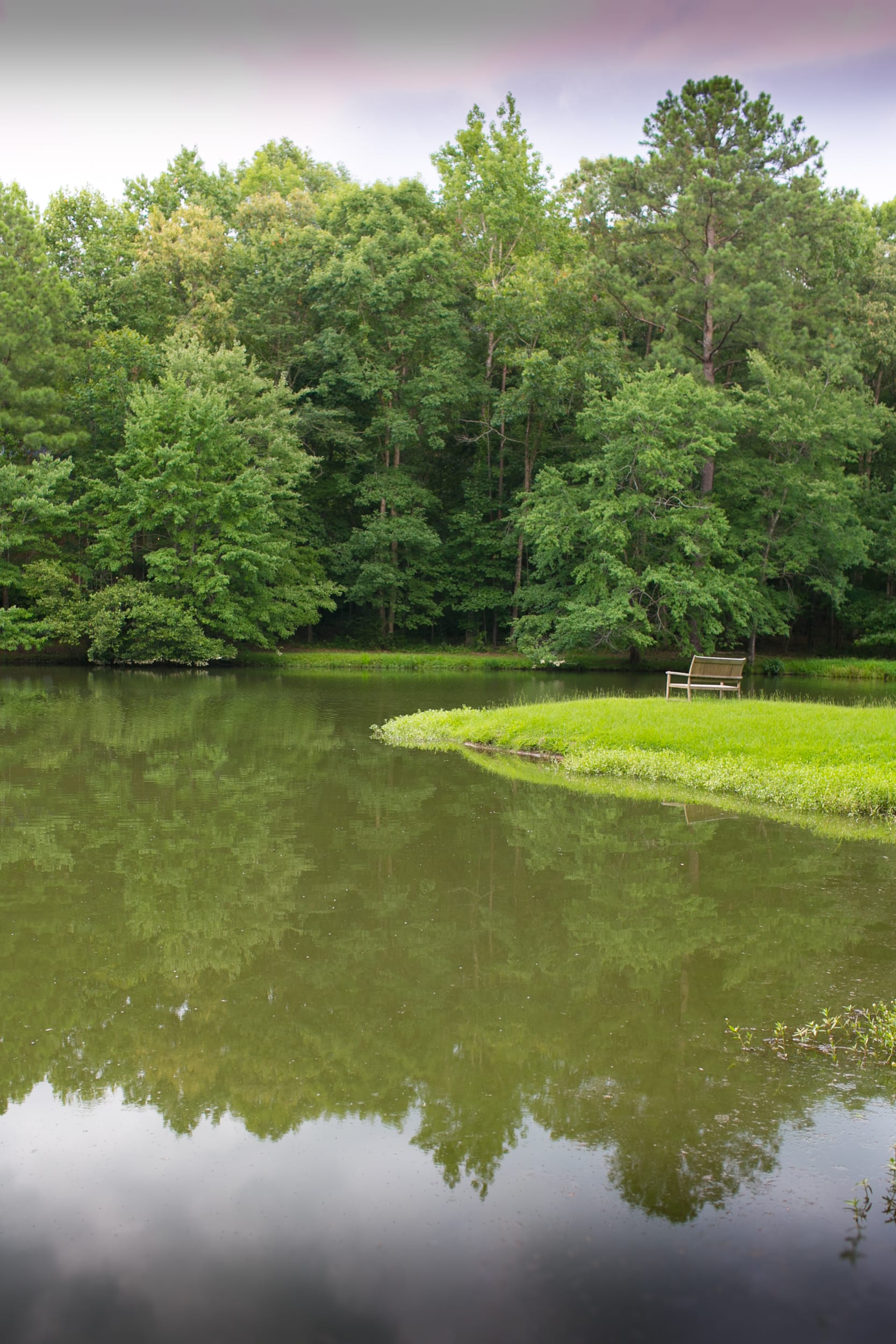 Relax by the Lake at Shoal Creek