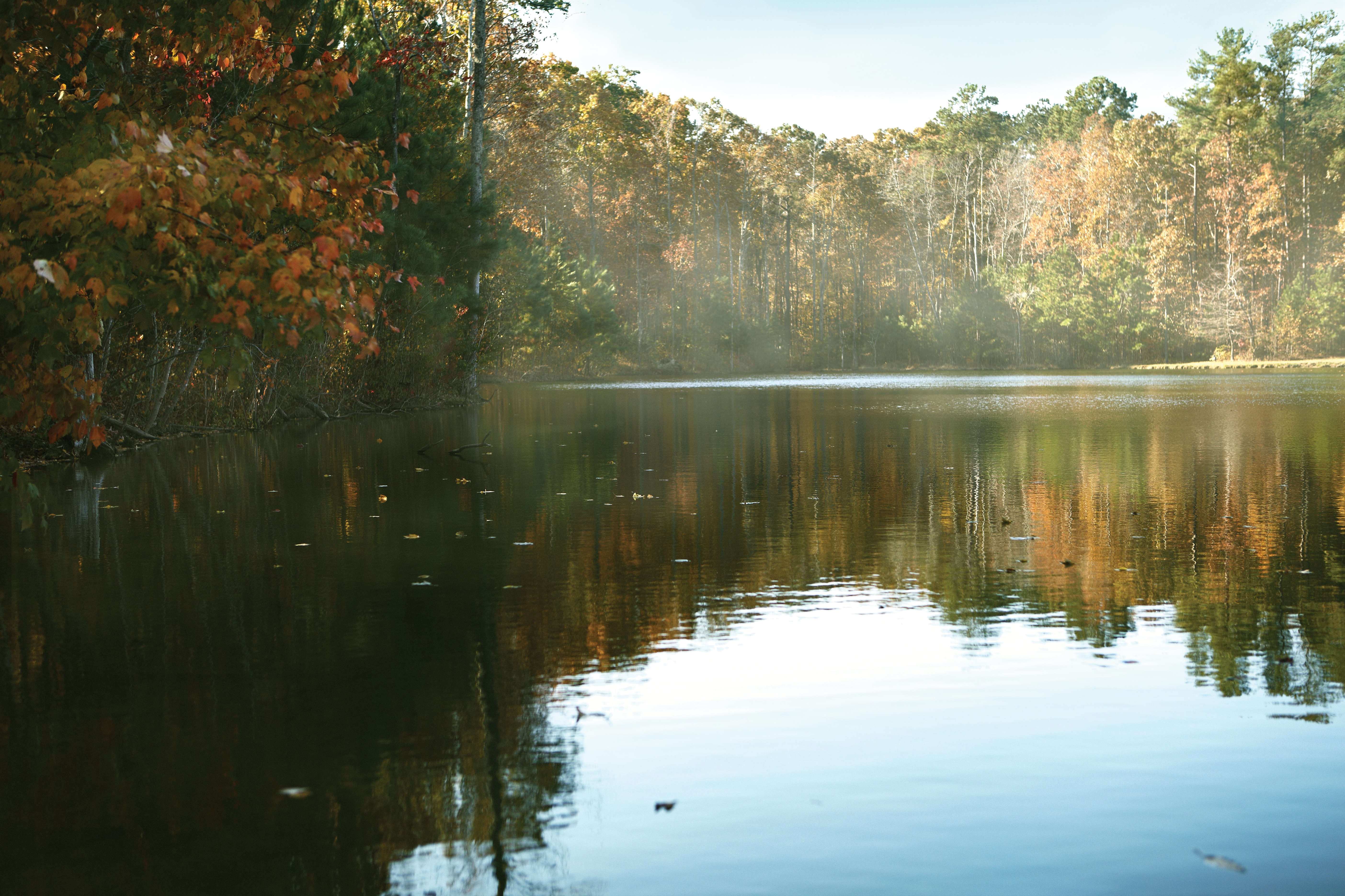 ShoalCreek_JA_Lake Sunrays coming through the Trees at the Shoal Creek Lake