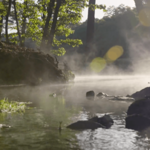 Misty Creek at Shoal Creek