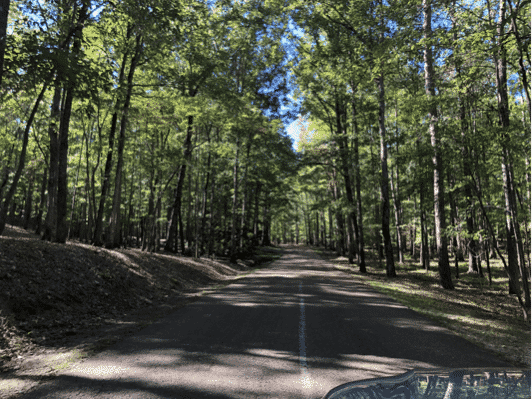 Driving down the road in Shoal Creek