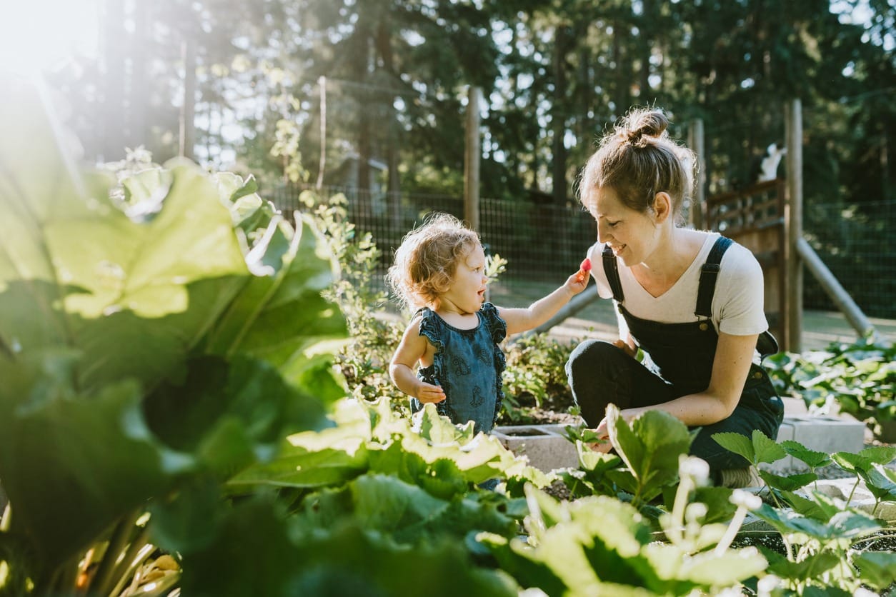 home garden in shoal creek