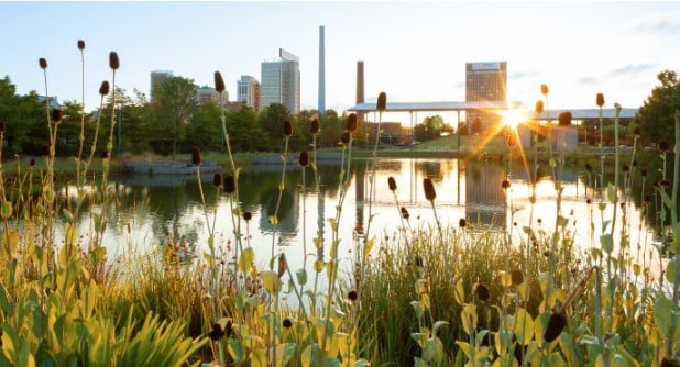 Cityscape image from the riverside with flowers - Outdoor activities in Birmingham, AL