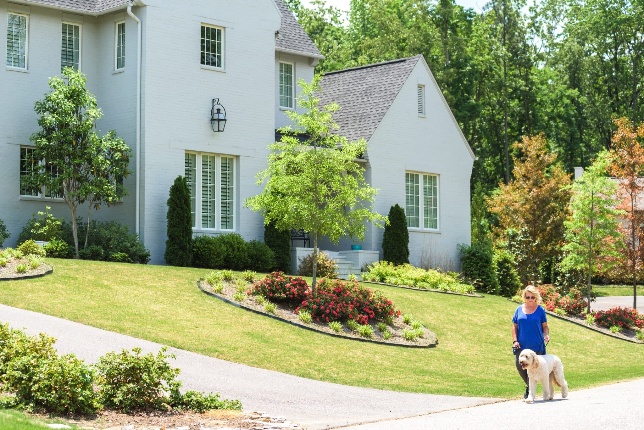 A Shoal Creek resident walks her dog past a beautiful front yard with home gardening elements