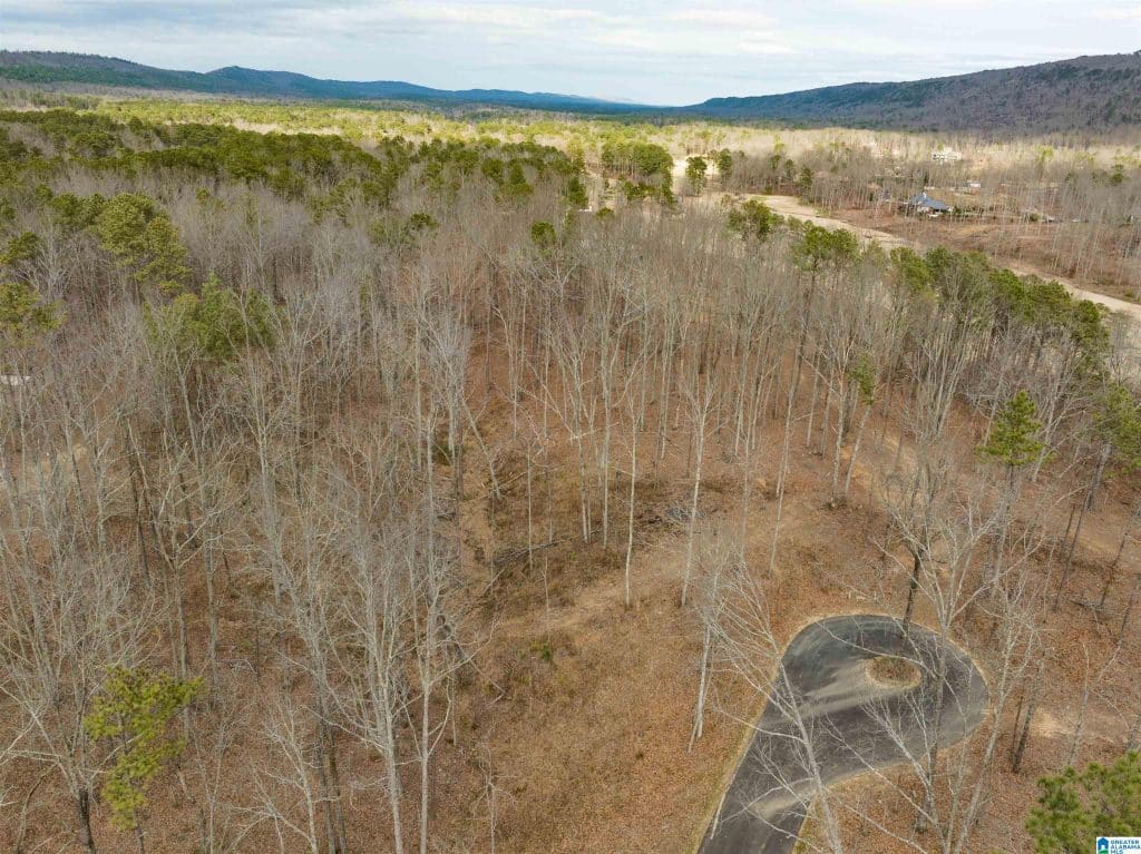 Aerial shot of Prestwick Trace, a large lot for sale in Shoal Creek
