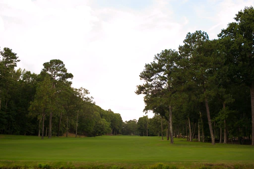 A swath of beautiful land at Shoal Creek