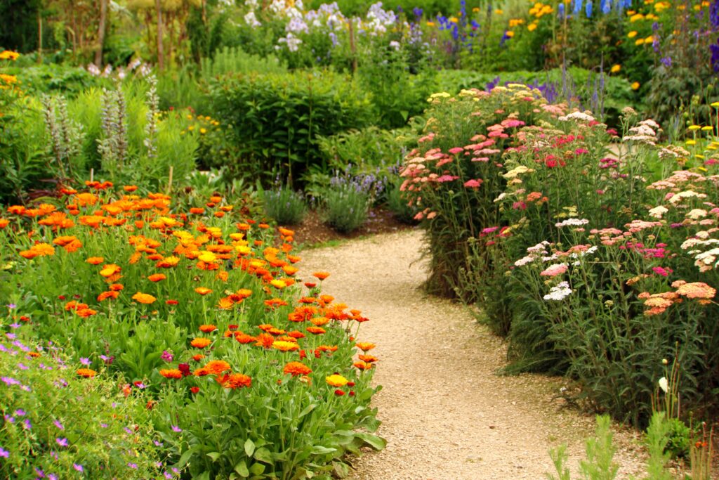An herb and flower garden where dogs, cats, lizards, and other pets (in addition to your family) can enjoy beautiful colors and stimulating smells.